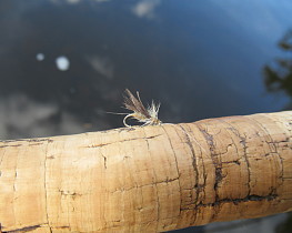 Tiny Duck's Dun - DC from Herefordshire